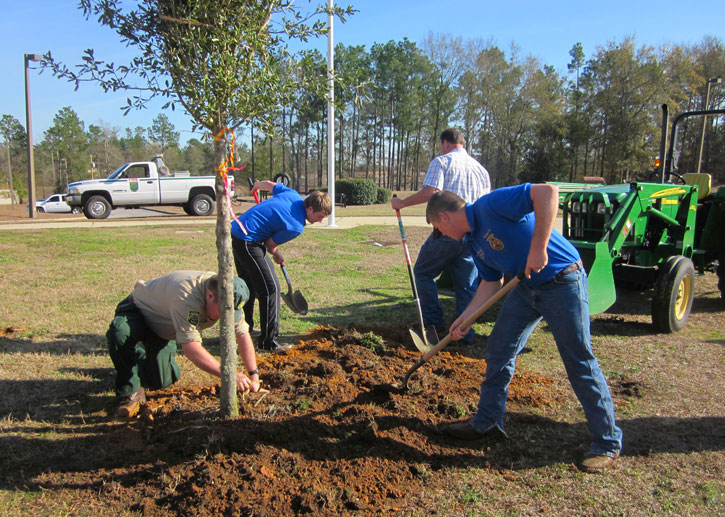 NHS-Arbor-Day-021.jpg