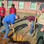 NHS-Arbor-Day-029.jpg
