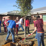 NHS-Arbor-Day-033.jpg
