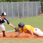 Molino Ballpark Baseball 1