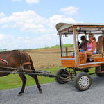 Wagon-Train-037.jpg