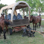 Wagon-Train-070.jpg