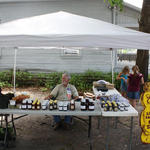 Century-Sawmill-Festival-053.jpg