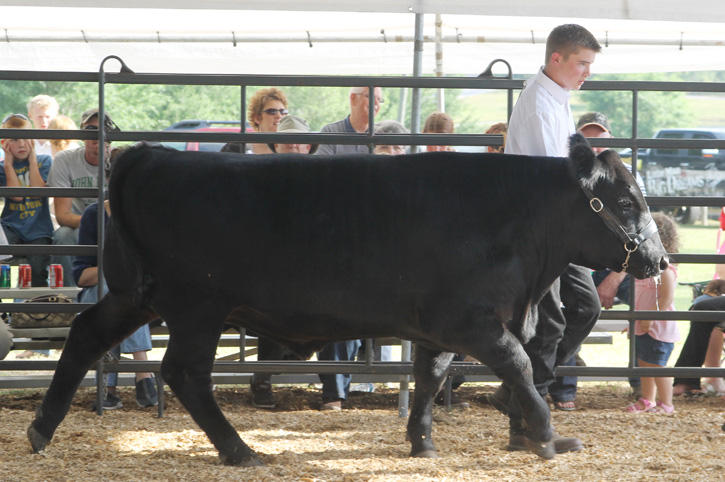 Livestock-Show-028.jpg