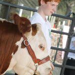 Livestock-Show-045.jpg