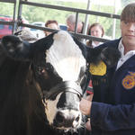Livestock-Show-059.jpg