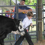 Livestock-Show-060.jpg