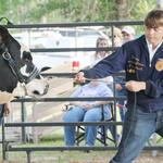 Livestock-Show-061.jpg