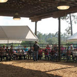 Livestock-Show-083.jpg