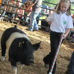 Livestock-Show-116.jpg