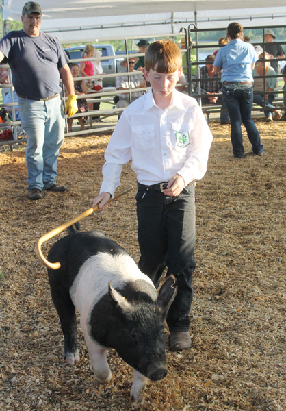 Livestock-Show-117.jpg