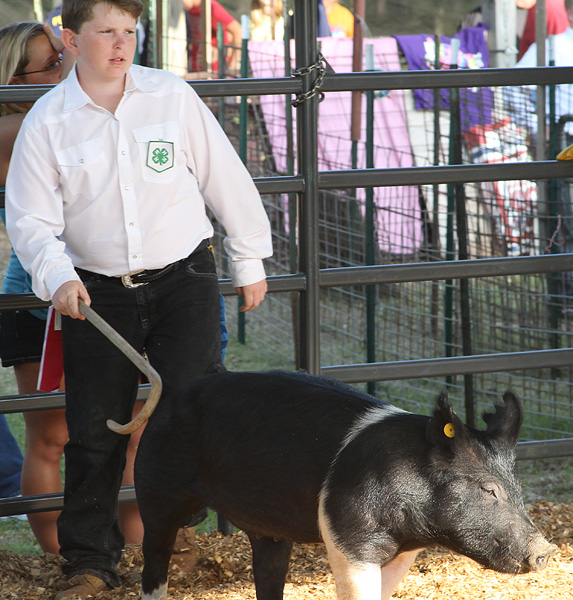 Livestock-Show-123.jpg