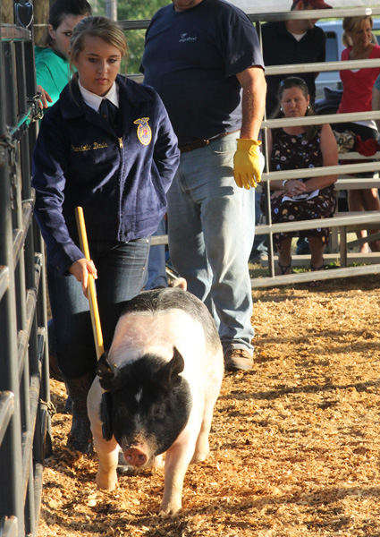 Livestock-Show-129.jpg