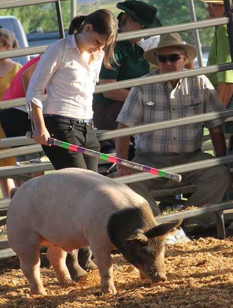 Livestock-Show-131.jpg