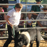 Livestock-Show-134.jpg