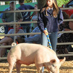 Livestock-Show-135.jpg