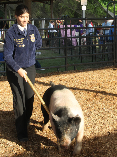 Livestock-Show-136.jpg