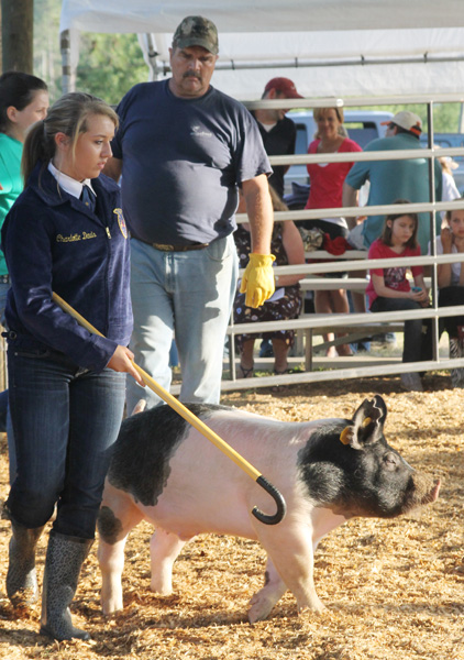 Livestock-Show-141.jpg