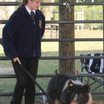Livestock-Show-155.jpg