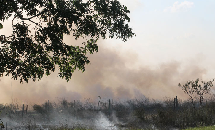 Eicher-Rd-Brush-Fire-032.jpg