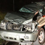 Hwy-4-Horse-Wreck-020.jpg