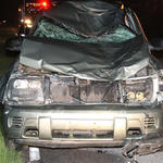 Hwy-4-Horse-Wreck-022.jpg