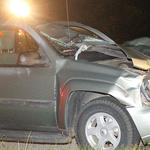 Hwy-4-Horse-Wreck-033.jpg
