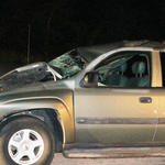 Hwy-4-Horse-Wreck-035.jpg