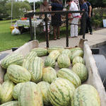 Atmore-Market-In-Park-050.jpg