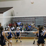 Preseason-Volleyball=039.jpg