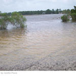 Hurricane-Isaac-042.jpg