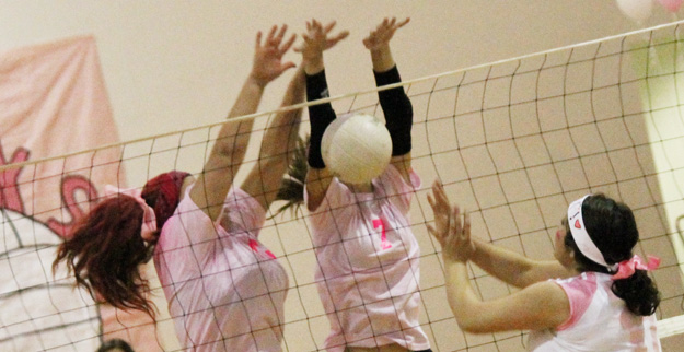 Dig-Pink-021.jpg