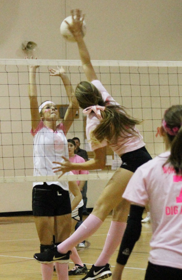 Dig-Pink-027.jpg