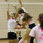 Dig-Pink-027.jpg
