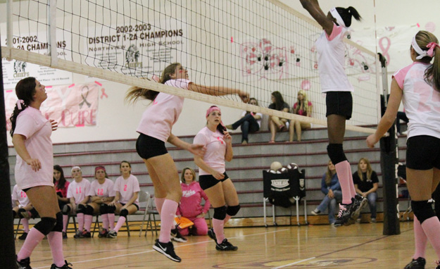 Dig-Pink-028.jpg