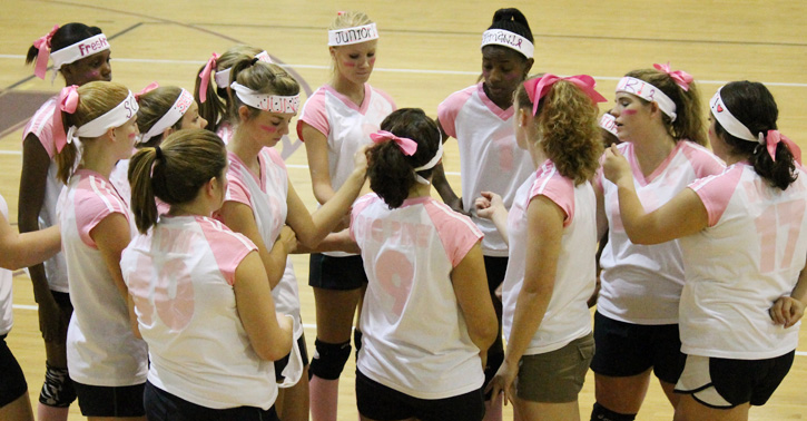Dig-Pink-031.jpg