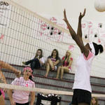 Dig-Pink-036.jpg