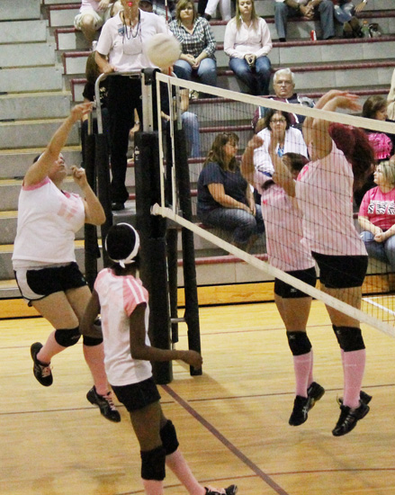 Dig-Pink-039.jpg