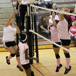 Dig-Pink-039.jpg