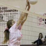 Dig-Pink-043.jpg