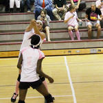 Dig-Pink-046.jpg
