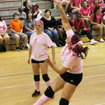 Dig-Pink-047.jpg