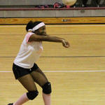 Dig-Pink-048.jpg