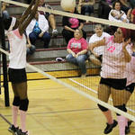 Dig-Pink-050.jpg