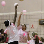 Dig-Pink-061.jpg
