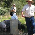 GreenCedarsFarm_Roger Elliott_2012 Farm Tour 017.jpg