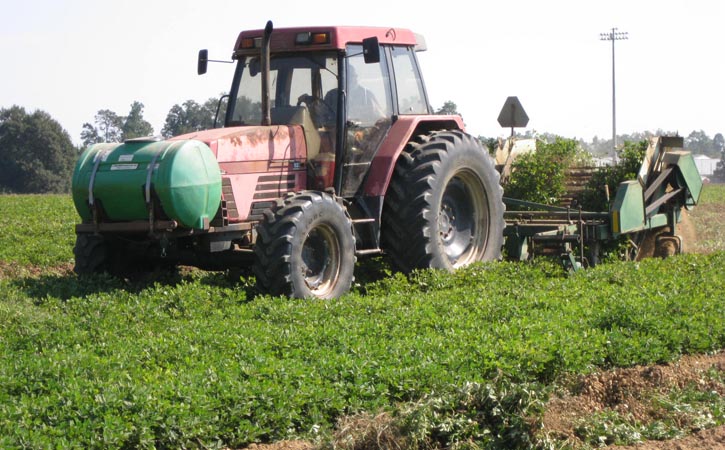 Sigafoose Farms_Peanuts_2012 Farm Tour 004.jpg