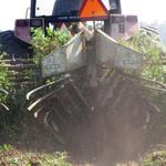 Sigafoose Farms_Peanuts_2012 Farm Tour 018.jpg