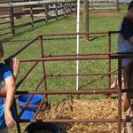 Yoder Family Dairy_2012 Farm Tour 007.jpg