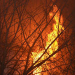 Barrineau-Park-Fire-016.jpg